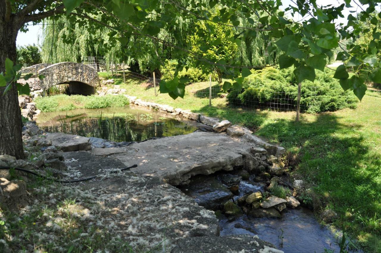 Quinta Da Serrana 오우렘 외부 사진